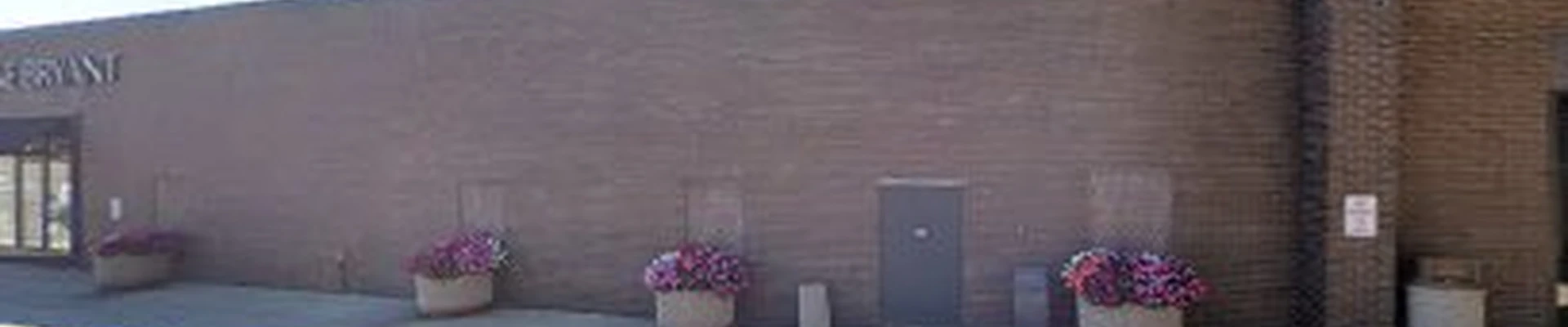 The Johnson Chimney Company