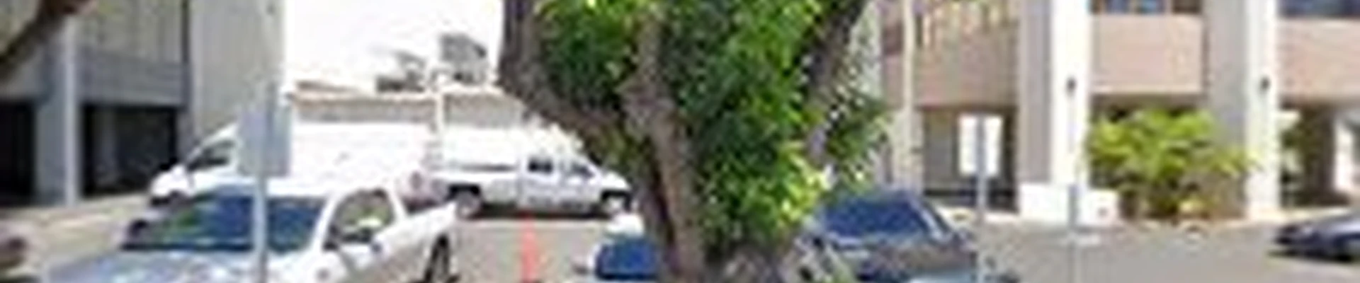 Maid In Oahu