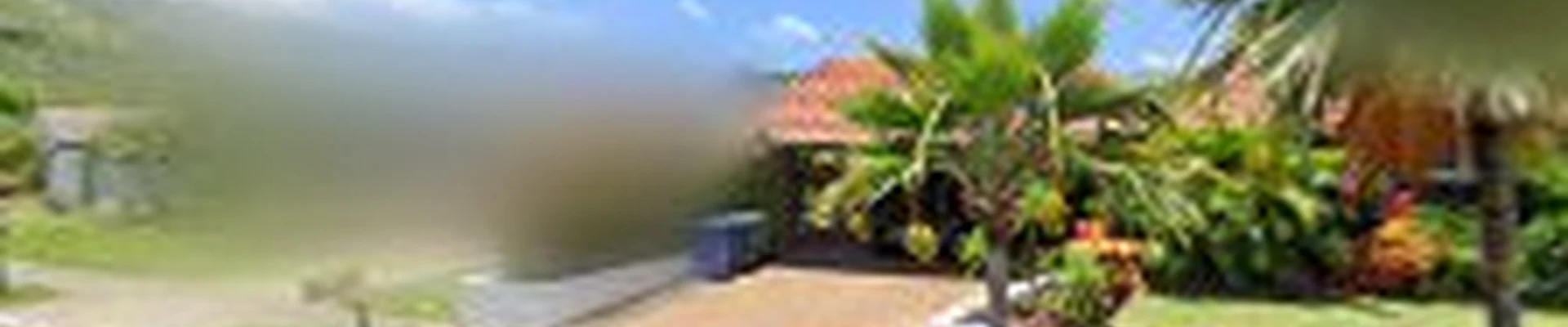 Clean Carpet Rx - Carpet Cleaning Honolulu