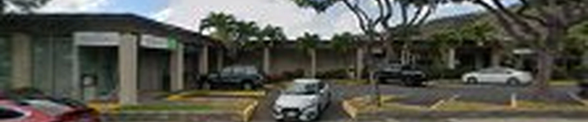 Honolulu Window Washers