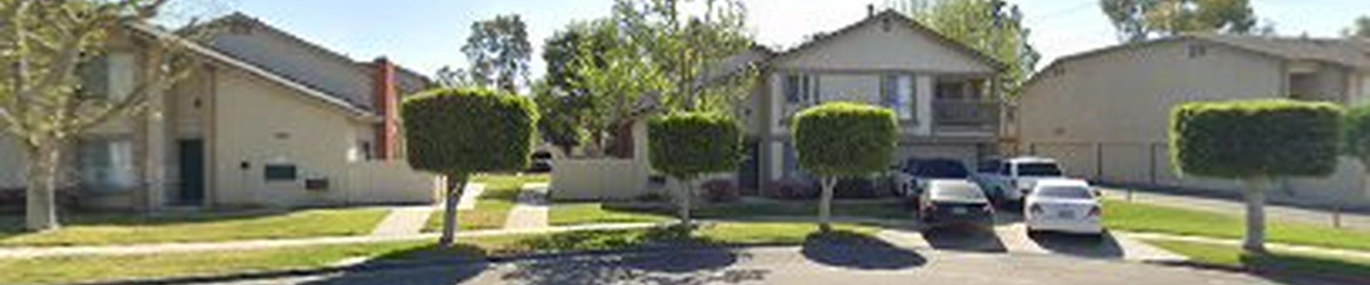 Carpet Cleaning Guys