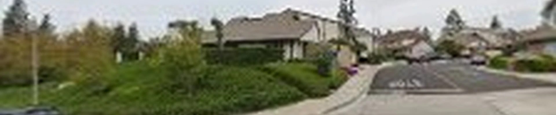 Turf Cleaners LLC.