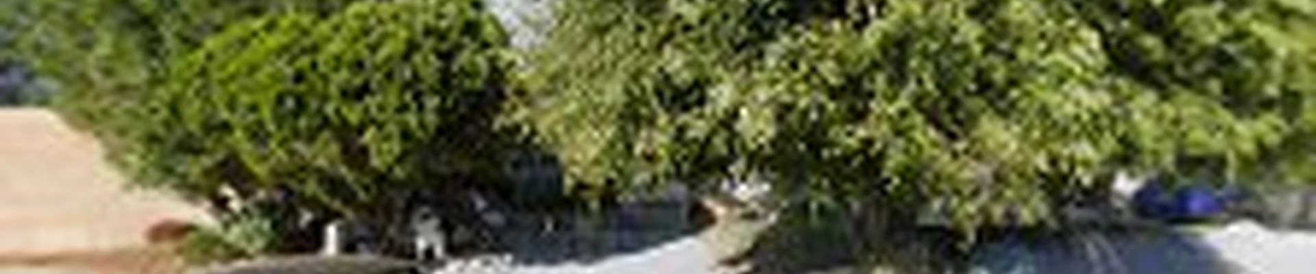 Five star pool and spa service