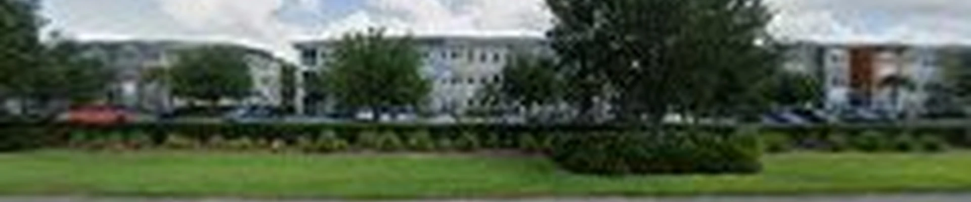 Viviane Solution Company