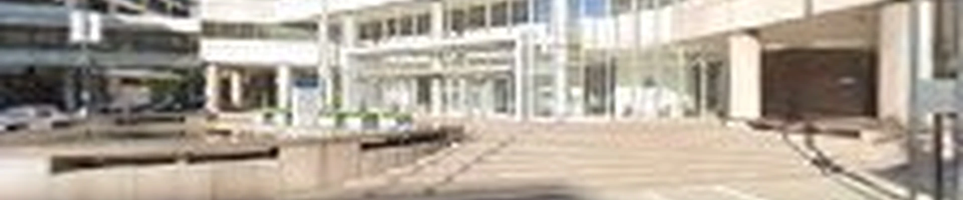 Green Clean Janitorial
