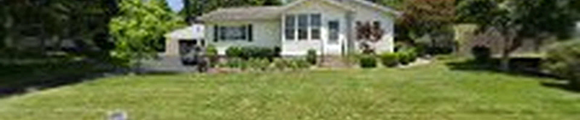 Pro-Kleen Carpet Cleaning