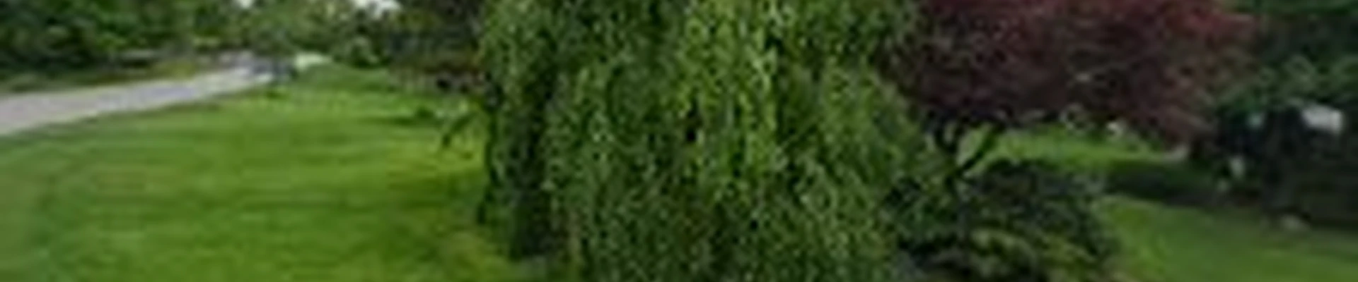 EnviroClean