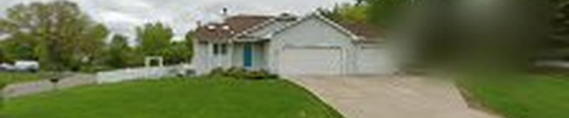 Always Green Carpet CLeaning