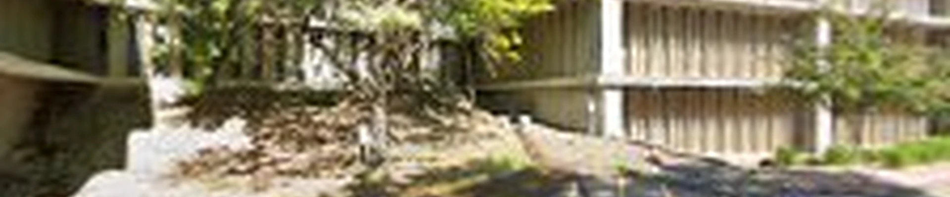 Panda Gutters Woodbury