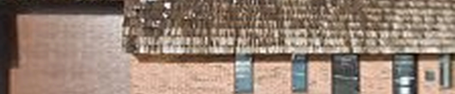 The Brothers That Just Do Gutters