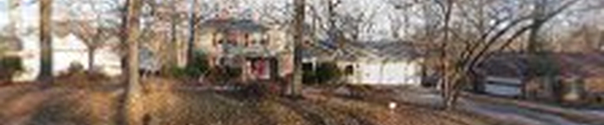 Healthy Gutters