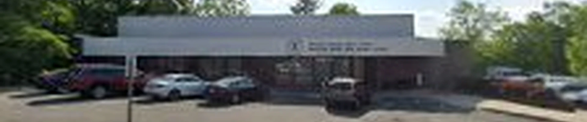 Louise Cleaning Service LLC