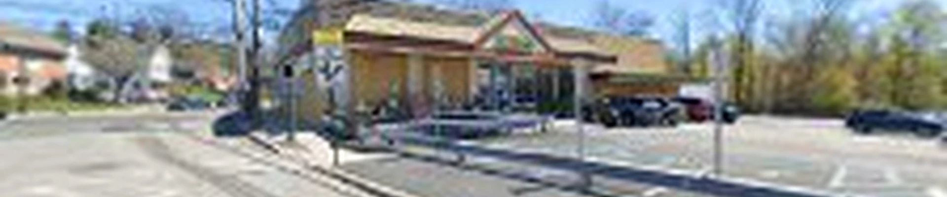 Vibrant Carpet & Upholstery Experts