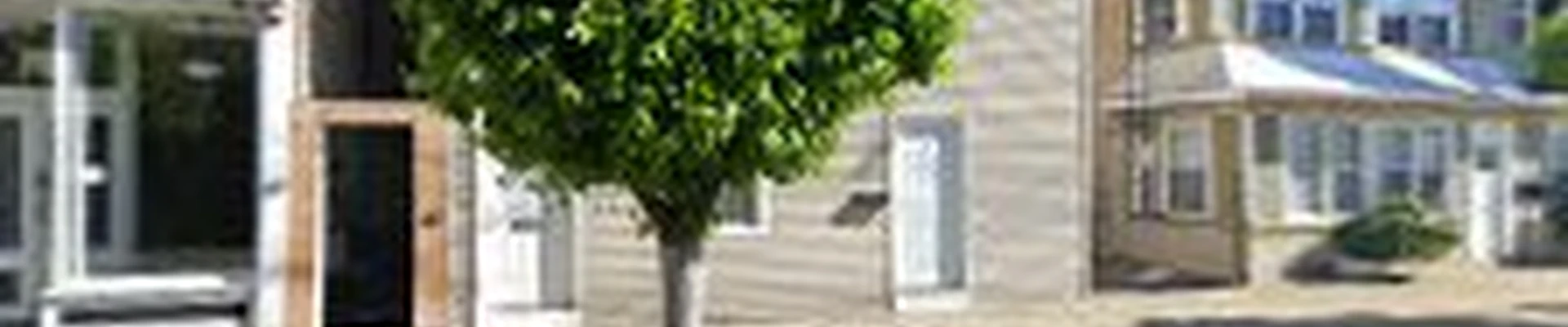 Cleaning Services