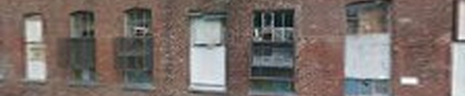 Nj Rug Cleaner