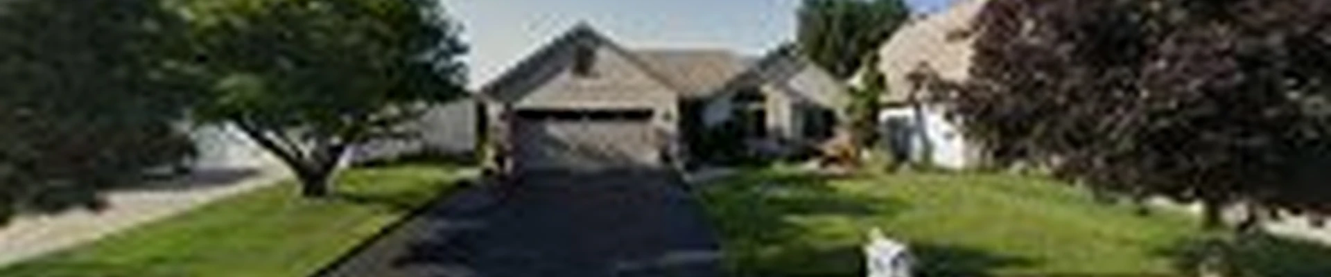 C & C Professional Painters