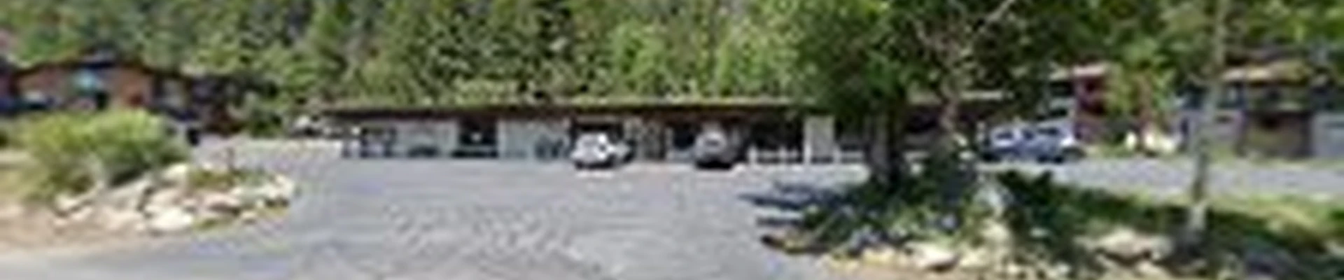 Tahoe Clean Bee LLC