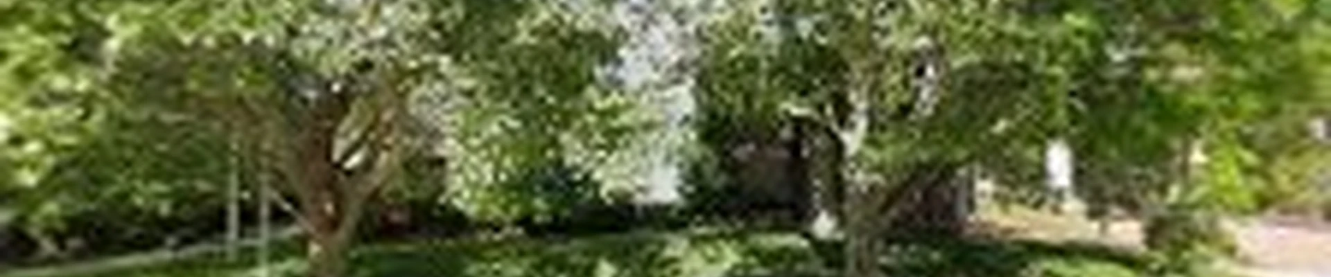 M&A Cleaning & Junk Removal Services Reno