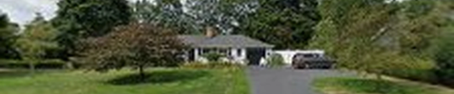 Richard Young Window & Gutter Cleaning