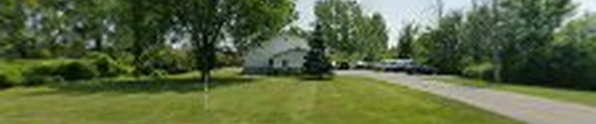 Executive Carpet Cleaning