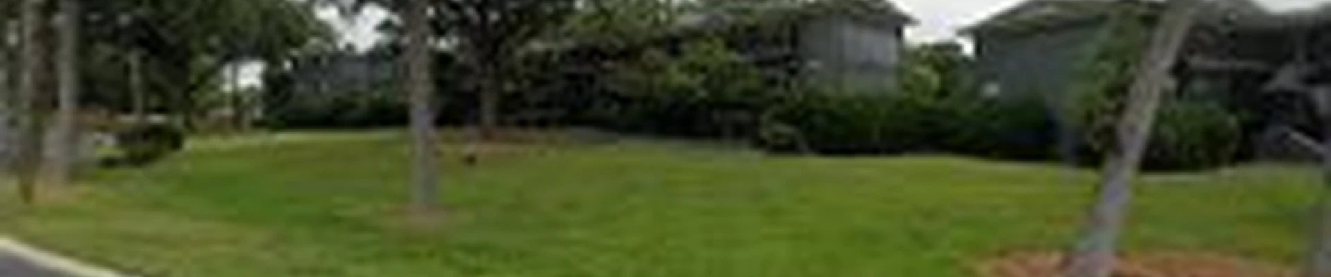 Carolinas lawn & cleaning services