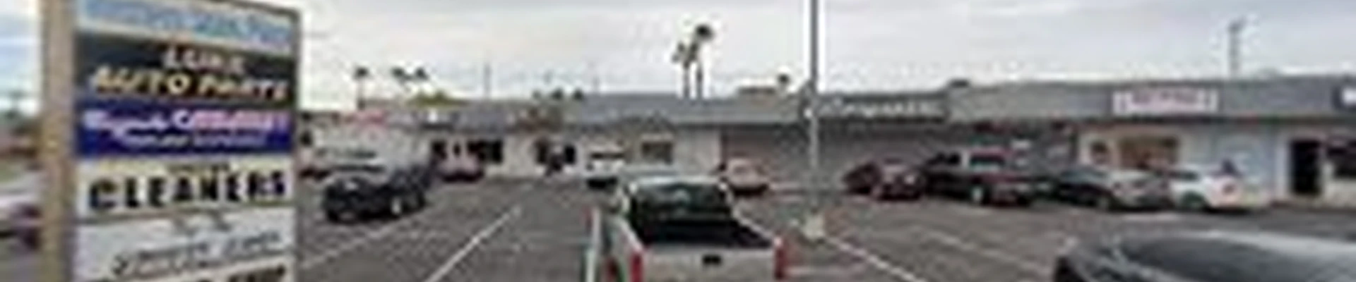Cactus Cleaners