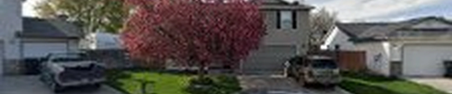 Elliott Window Cleaning LLC