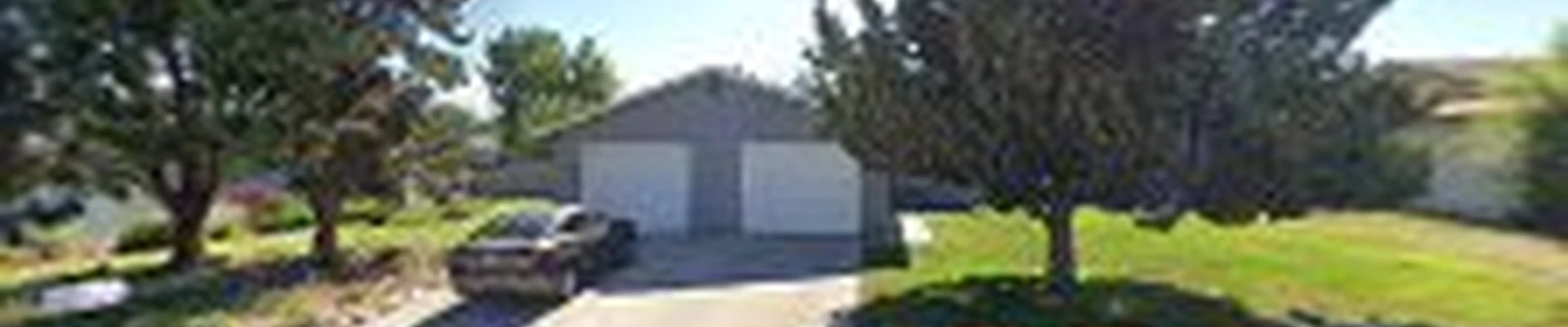 Honu Clean Carpet, Upholstery & Tile Cleaning