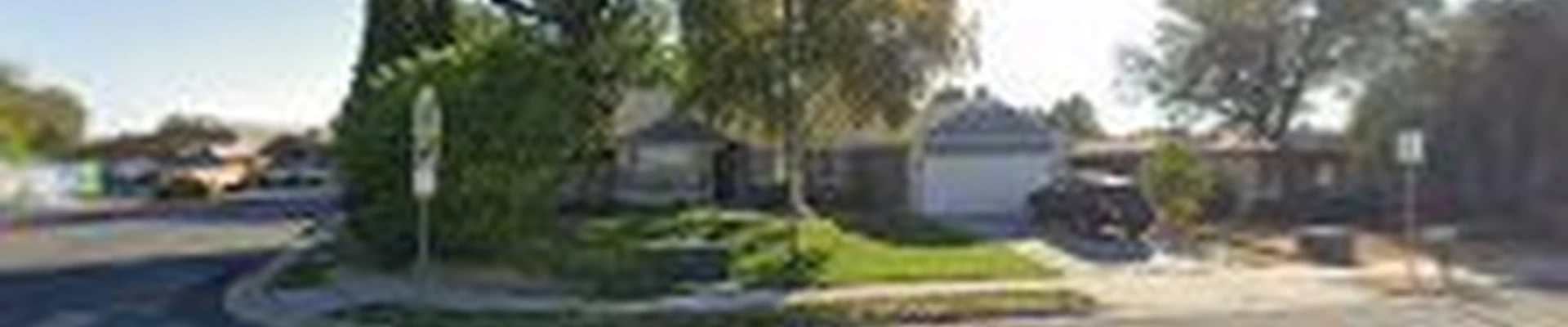 The Natural Choice Carpet Cleaning