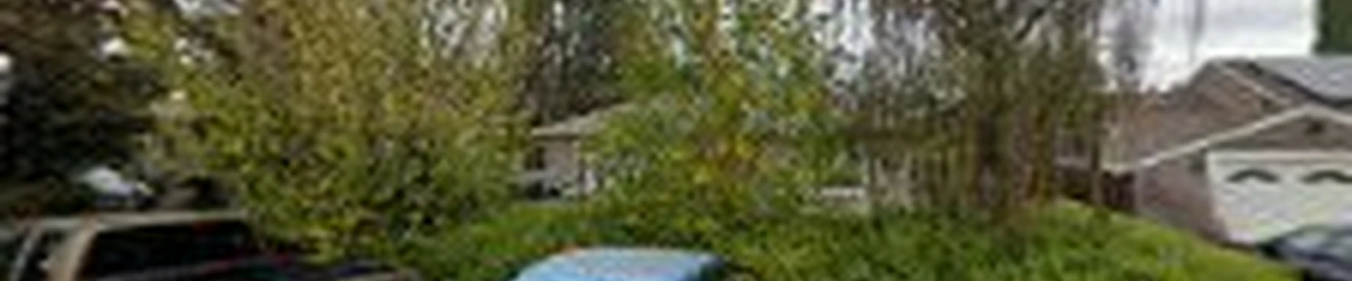 Fireplace Chimney Sweep & Repair Fremont