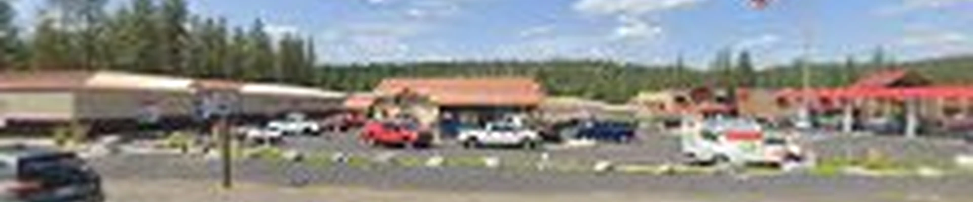 Shields Transition Services