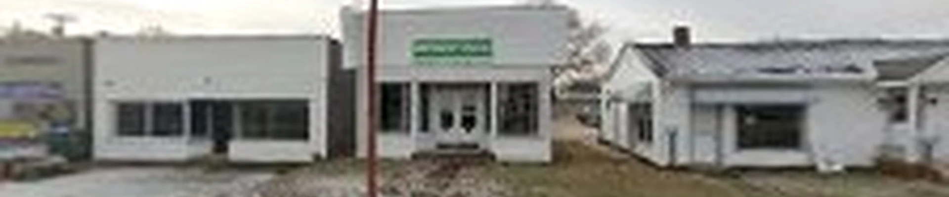 Medical Insurers of Virginia