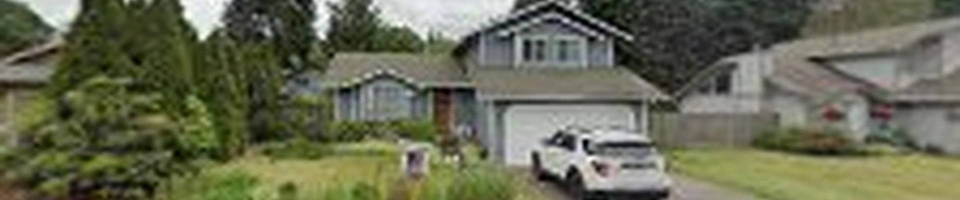 Genesis cleaning services