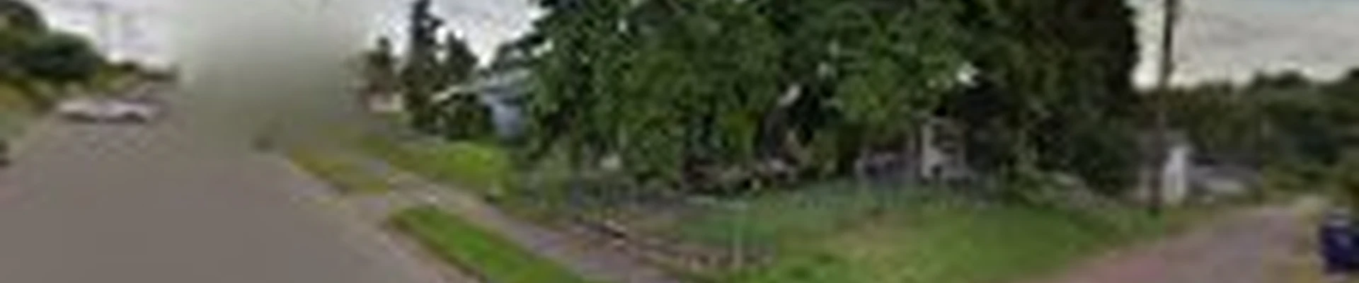 Tidy Trees Service Tacoma