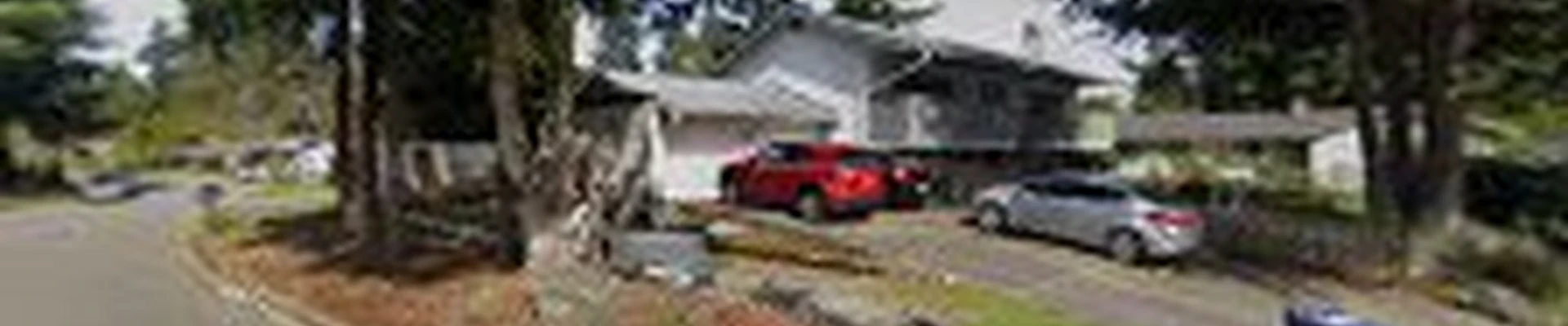 Flores Chimney LLC