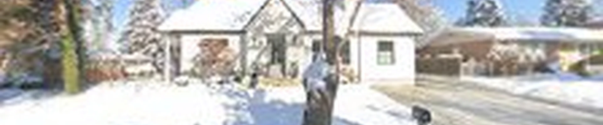 MiNT Window Cleaning & Pressure Washing (Salt Lake)