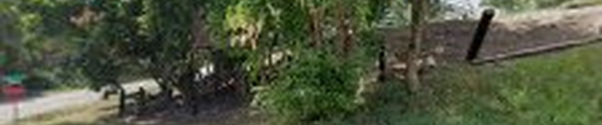 Wasatch Maids (Morgan Location)