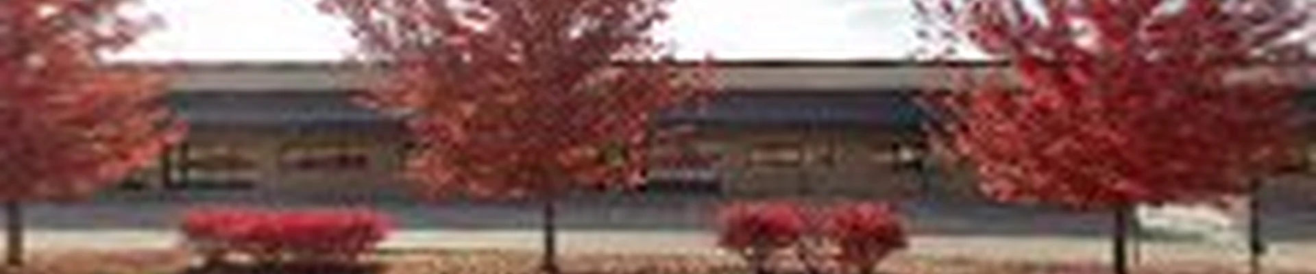 RJI Professionals
