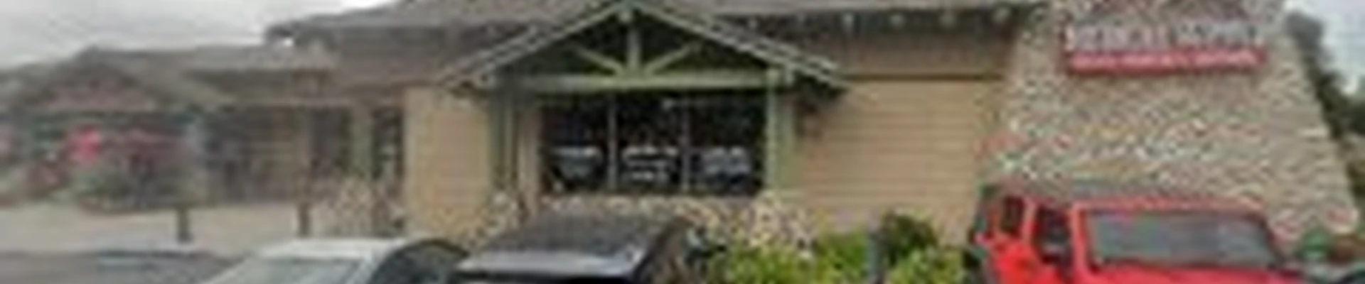 Dynamic Carpet Cleaning Expert