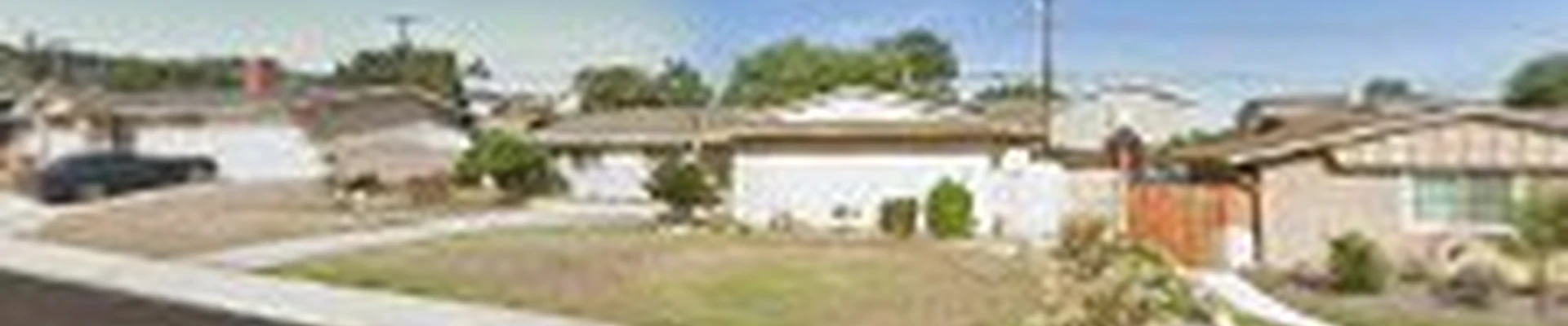 Dynamic Carpet Cleaning Expert
