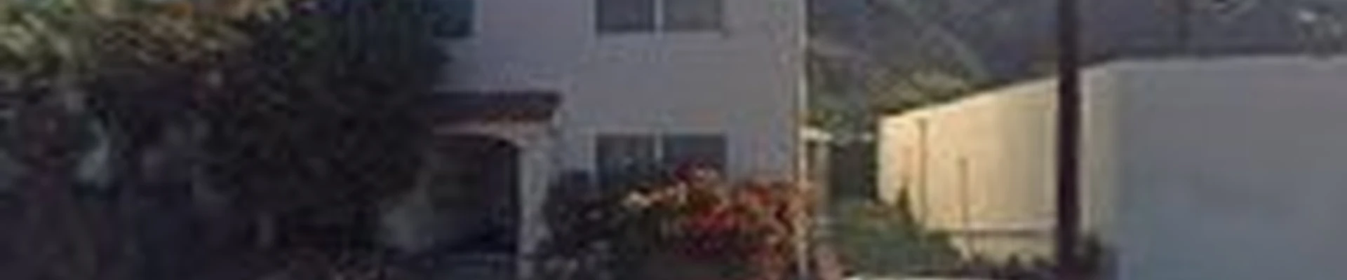 Deluxe Window Cleaning