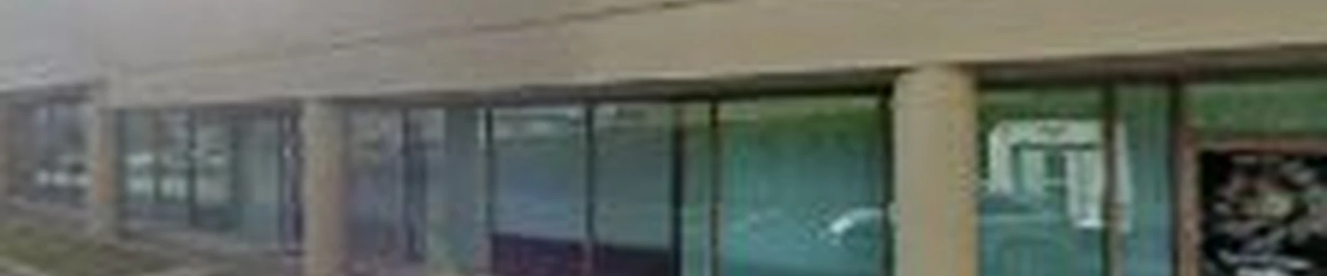 Leafguard Gutter Protection
