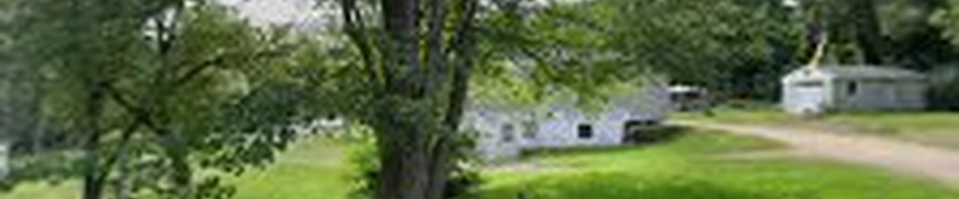 CUIL Services