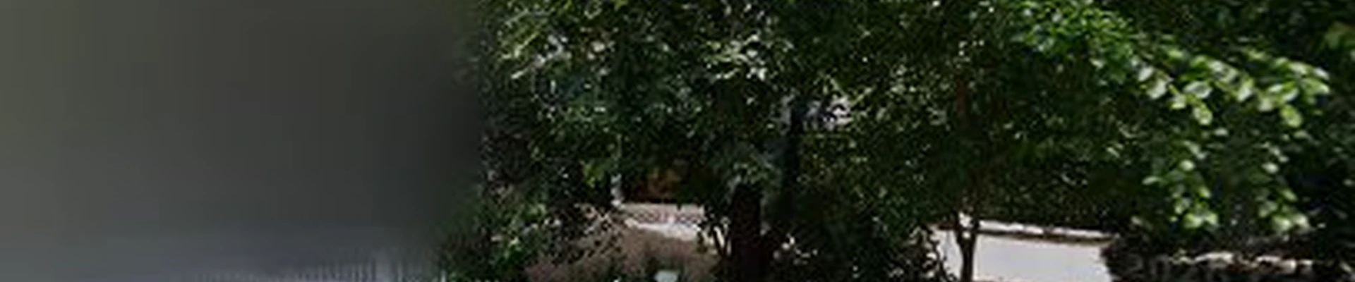 Acute View