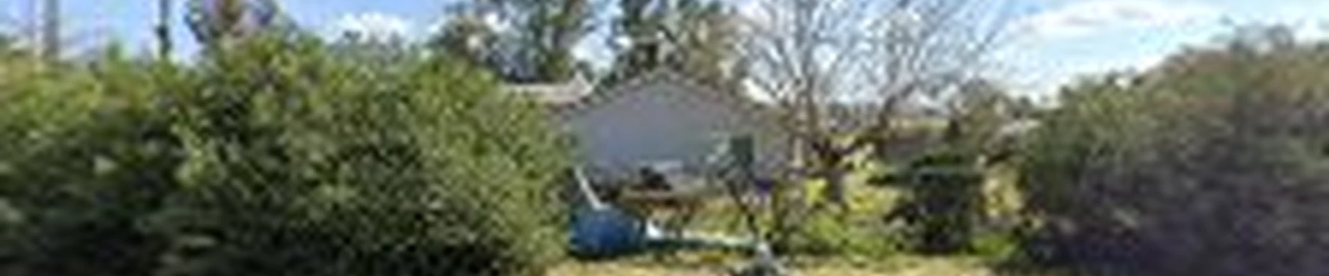 Kens tree Service