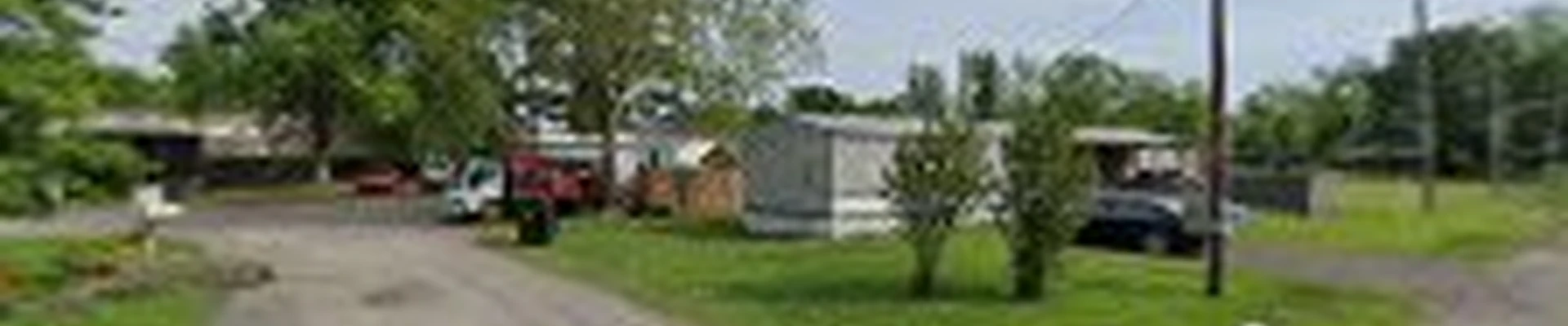 Wiese Organization & Cleaning Services