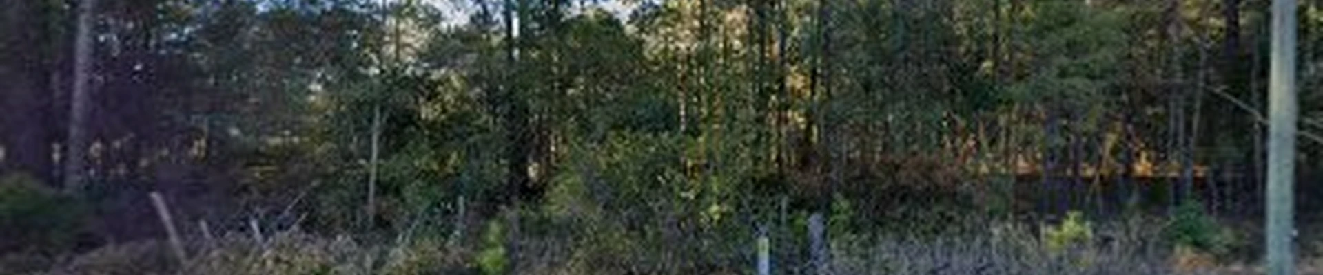 Black Creek Service's LLC