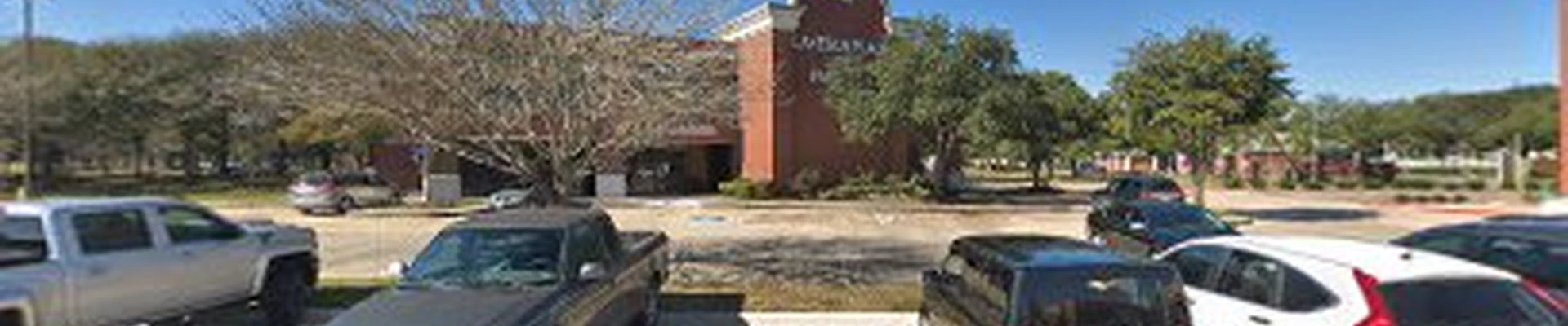 Diamond chimney Cleaning Service