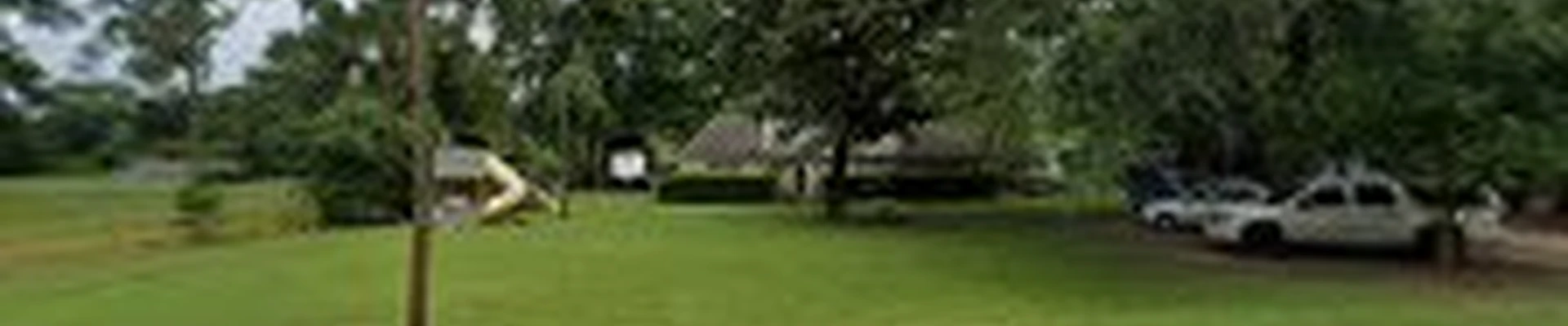 Magnolia Carpet Cleaners