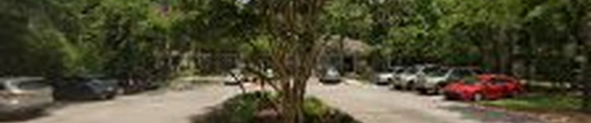 The Woodlands Carpet Cleaning